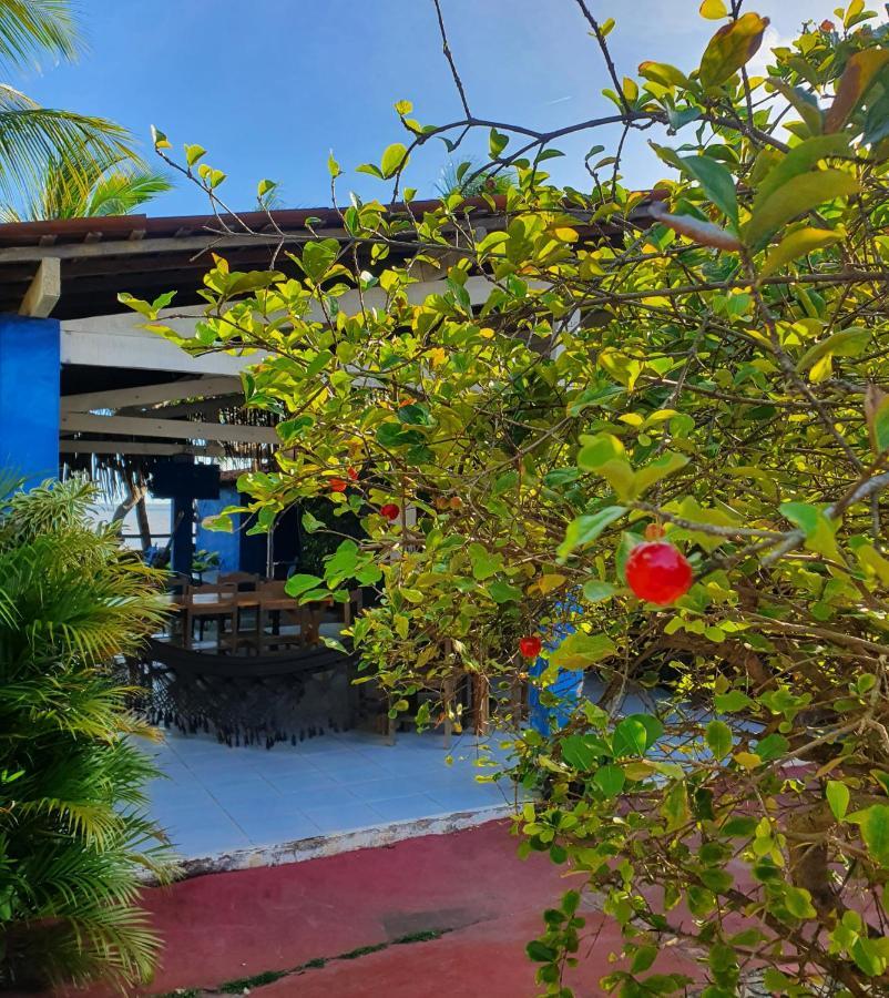 Hotel Casarao Do Pontal à Coruripe Extérieur photo